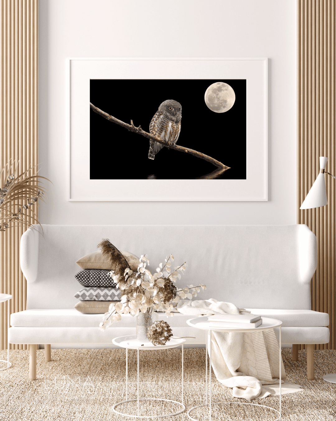 The Owl and The Moon Animal Artwork